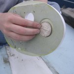 Emma shows the location of the silver dollar under the mast step