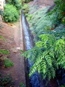 thewaterrun